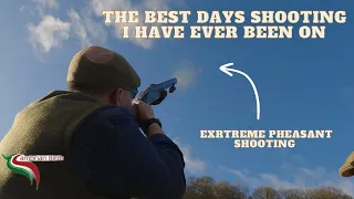 The Best Days Shooting Ever | Extreme Pheasant Shooting | Dyfi Falls, Cambrian Birds | High Birds