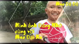 Tam Mao TV | Những Hình Ảnh Đáng Yêu Của Anh Em Tam Mao | Khiến Mọi Người Cực Kì Yêu Quý