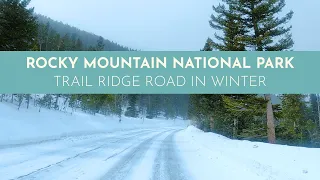 Estes Park Colorado to Rocky Mountain National Park Winter Scenic Drive | 4K Snowy Trail Ridge Road