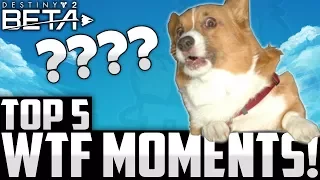 INSANE Destiny 2 Beta WTF Moments! - Top 5 D2 Beta WTF Moments Of The Week Episode 3