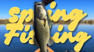 Catching Your First LARGE Mouth Bass- Tips and Strategies for Success in 2022”