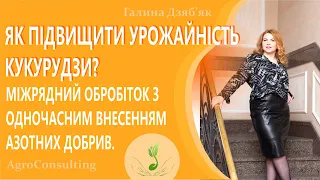 Як підвищити урожайність кукурудзи? Міжрядний обробіток з одночасним внесенням азотних добрив