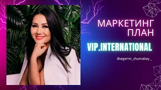 Маркетинг компании Vip.international