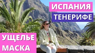 ИСПАНИЯ. ТЕНЕРИФЕ. УЩЕЛЬЕ МАСКА. ПИРАТСКАЯ ДЕРЕВНЯ МАСКА /ESPAÑA.TENERIFE. BARRANCO MASCA. THE MASCA