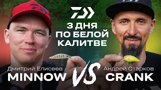 3 ДНЯ ПО БЕЛОЙ КАЛИТВЕ / ДМИТРИЙ ЕЛИСЕЕВ х АНДРЕЙ СТАРКОВ