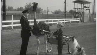 Lassie - Episode #250 - "The Ostrich"  - Season 7, Ep. 31 -  04/16/1961