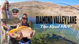 DIAMOND VALLEY LAKE | MVP | LOTS OF BIG FISH