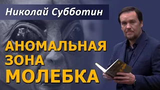 Аномальная зона Молебка. Николай Субботин. 25.11.2007