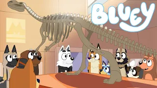 Bluey Fan Animated Short #1 - Museum