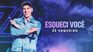 ESQUECI VOCÊ - ZÉ VAQUEIRO (Vídeo Oficial)