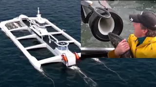 8 INSANE Fish Processing Inventions That Are On The Next Level