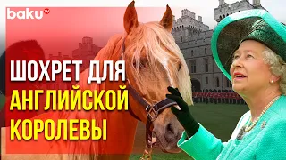 Подарок Президента Азербайджана Передан Королеве Елизавете II | Baku TV | RU