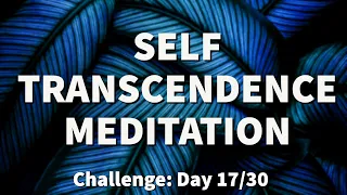 Meditation for TRANSCENDENCE - Transcendental Experience | 2022 Challenge Day 17  | Raphael Reiter
