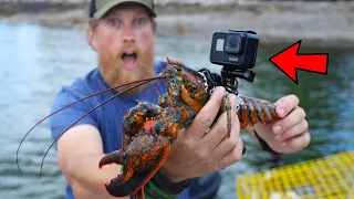 I Strapped A GoPro On A Lobster  ( I Bought A Boat Ep. 5)