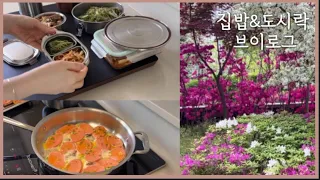 제리네집🏠|매일 오전에 시작|집밥&중학생 저녁 도시락 만들기🍱|정성가득 집밥&도시락 브이로그|CCA주스