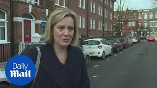 Amber Rudd rules out leadership bid amid Brexit vote drama