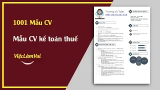 Mẫu CV xin việc kế toán thuế - 1001 Mẫu CV ViecLamVui