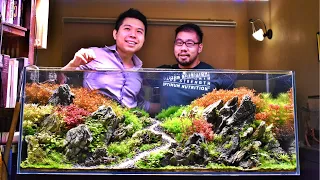 DENNIS WONG'S DIORAMA STYLE AQUASCAPE