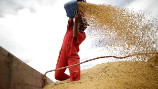 De trigo a fertilizantes: así afecta la guerra en Ucrania los precios de los alimentos
