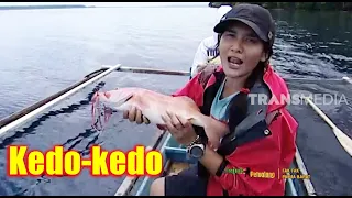 JEJAK PETUALANG | KEKAYAAN BAHARI NUSANTARA (27/01/21) Part 2