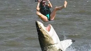 10 Most Dangerous Ultimate Close Calls In The Sea