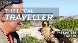 Meet The Maltese Falcon | EP: 20, part 3 | The Local Traveller with Clare Agius | Malta