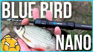 Мормишинг 🔵 Blue Bird NANO | Перший погляд