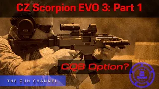 CZ Scorpion EVO 3 Part 1: Lights.. Optics.. Action .. [RE_UPLOAD]