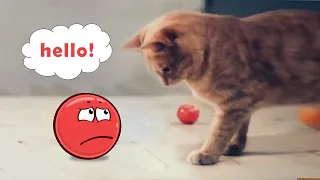 Red Ball 4 Animation | Red Ball In Real Life Full