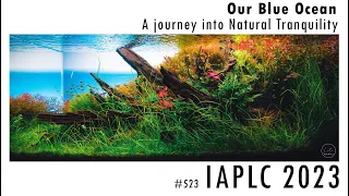 IAPLC 2023 | Contest Tank | "Our Blue Ocean" (150x60x60cm) | Step-by-Step Setting Up | 4K Video