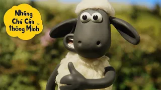 Những Chú Cừu Thông Minh 🐑 Shaun tự hào Pha trộn Tập đầy đủ