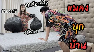 ย้ายออก?! (อยู่ไปแค่ 3 วัน) เพราะแมลงบุกบ้าน 30 ล้านบาท