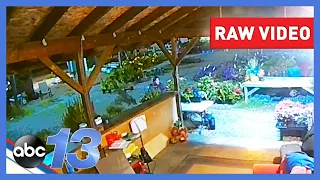 Caught on camera: Nursery out $1,500 after thief steals Japanese maple trees