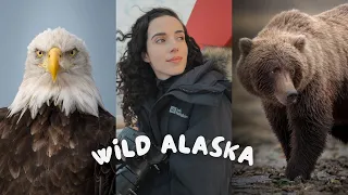 18 Days in Alaska Vlog: Journeying down Alaska’s Inside Passage from Nome to Vancouver for Wildlife
