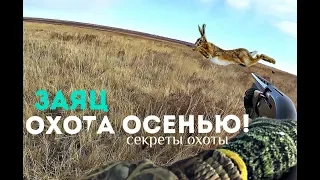 Как и где охотиться на зайца осенью?