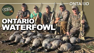 Intense Goose and Duck Hunting in Ontario | Canada in the Rough