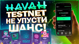 HAVAH WALLET - ОПЛАЧИВАЕМЫЙ ТЕСТНЕТ | ПОШАГОВО ПОКАЗЫВАЮ КАК ПОЛУЧИТЬ ТОКЕНЫ HVH