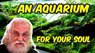 Maintain a Natural Aquarium for Your Health and Well Being