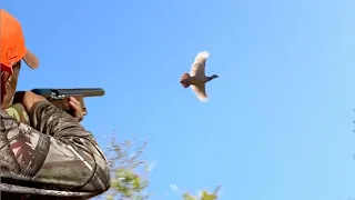 Chasse Perdrix - Hunting Partridge -قنص الحجل  بالمغرب