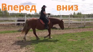 Движение лошади вперед-вниз.