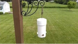Make DIY Type 1 Cheap & Easy Small Birds Feeder Squirrel Big Grackle Crow Proof PVC Pipe & Wood Top