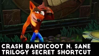 Native Fortress Secret Shortcut in Crash Bandicoot N. Sane Trilogy