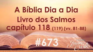 Curso Bíblico 673 - Livro dos Salmos 118 (119) (vv.81-88) - Elogio a Lei Divina - Caf - Padre Juarez