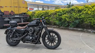 Harley 883 Custom 🔥 sound