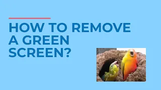 How to Remove a Green Screen? ❎ | MOVAVI HELPS