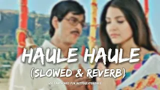 Haule Haule (slowed & reverb) rab ne Bana Di Jodi || Lofi Lovers 0.1