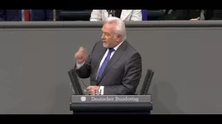 Bundestagsdebatte um Yücel: „Intellektuell erbärmlich“ - Kubicki liefert sich Schlagabtausch mit AfD