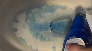 How to Unclog a Toilet with Dish Soap (3 Easy Steps!)