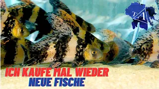 ich KAUFE mal wieder NEUE FISCHE I TAX