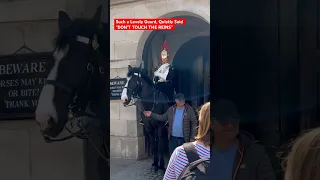 Such a Lovely Guard, Quietly Said "DON’T TOUCH THE REINS” #kingsguard #horseguardsparade #londonwalk